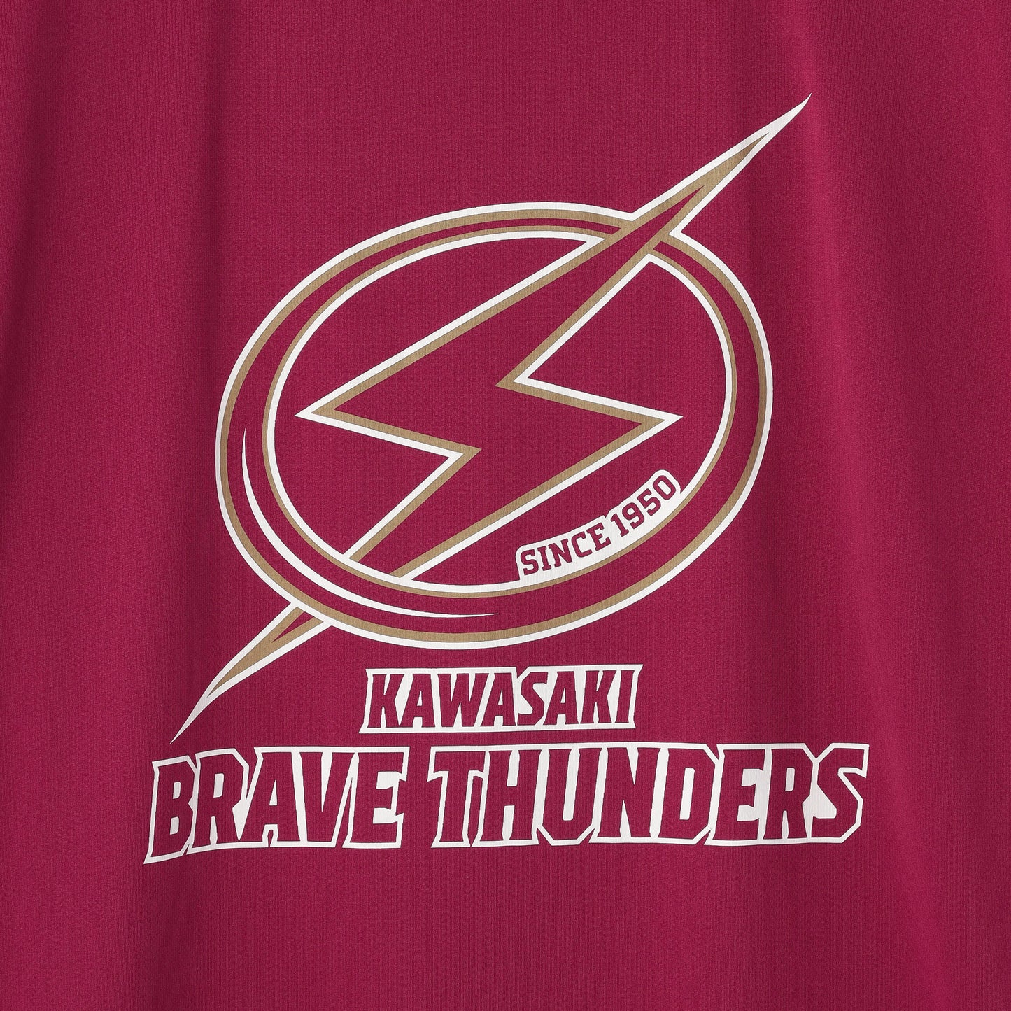 プライマリーロゴドライTシャツ