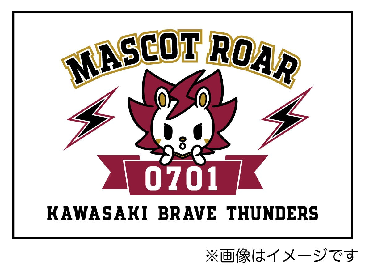 川崎ブレイブサンダース グッズ まとめ売り セット （川崎