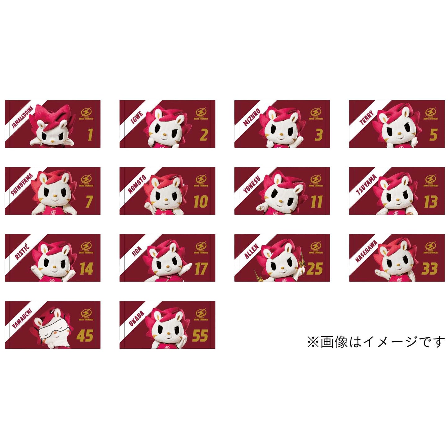 2025-26 ROARDAY シークレットプチタオル