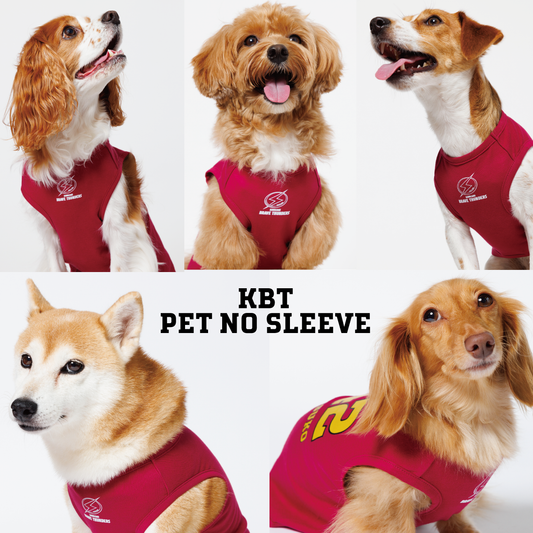 【受注販売】【12月下旬発送予定】2024-25 KBT PET NO SLEEVE