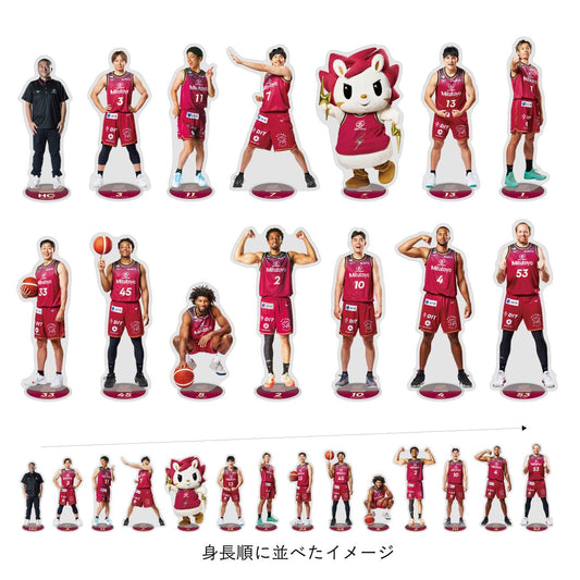 2026-27 選手1/10サイズ BIGアクリルスタンド
