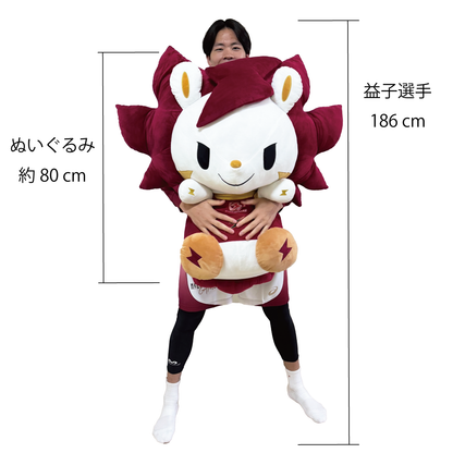 ぬいぐるみまとめ売り♪ マスコット MEGAぬいぐるみ – KAWASAKI BRAVE THUNDERS OFFICAIL